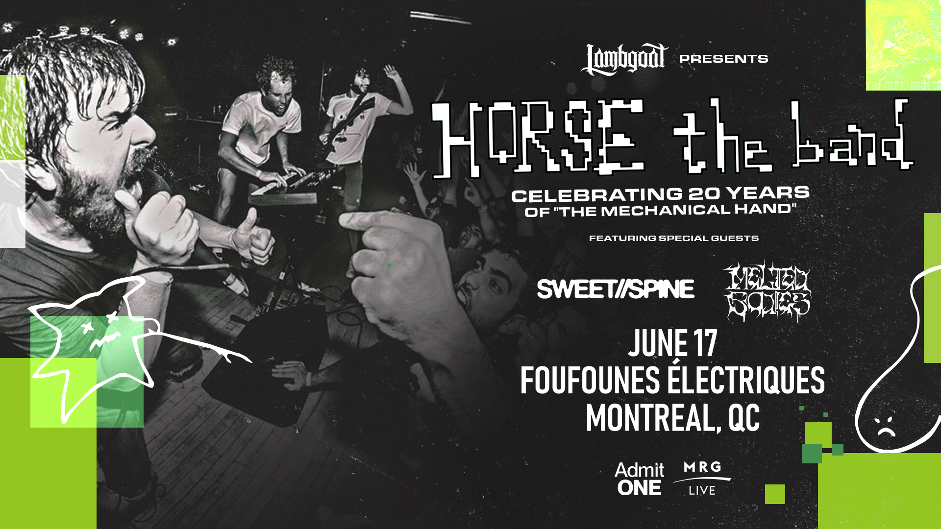 HORSE The Band