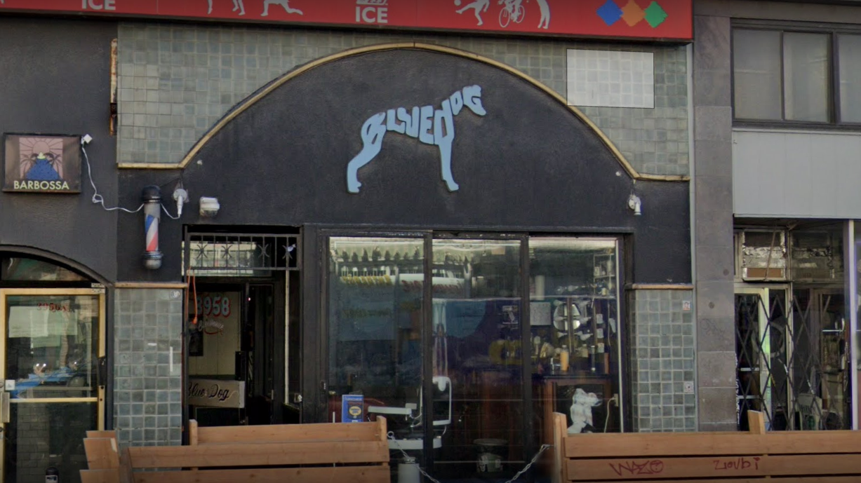 Montreal's Blue Dog on St. Laurent Boulevard