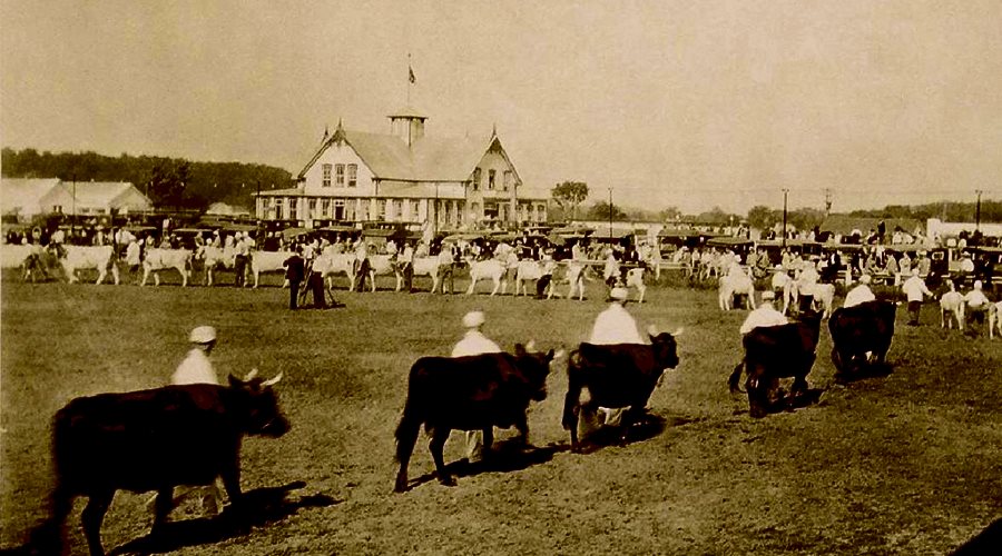 Expo Lachute Fair