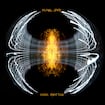 Wreckage by Pearl Jam