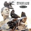 Starseed by Our Lady Peace