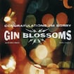 Follow You Down by Gin Blossoms