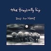 Nautical Disaster by The Tragically Hip